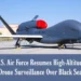 Strategic Assessment: The Global Expansion of Long-Endurance ISR Drone Networks