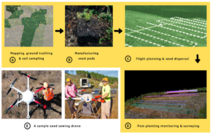 drone seeding reforestation forest carbon monitoring